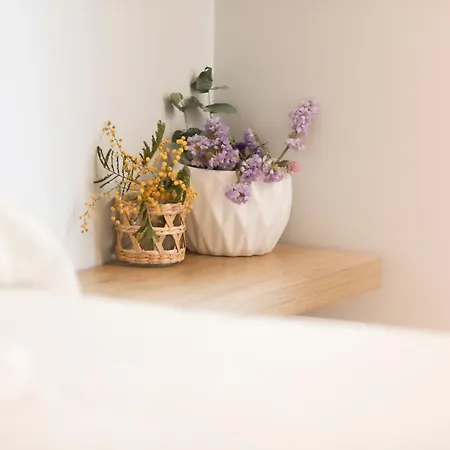 Nueva Real * Σανταντέρ